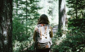 woman in sleeveless top and backpack surrounded by trees during daytime